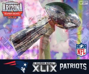 puzzel Patriots, Super Bowl 2015 kampioenen