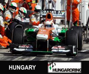 puzzel Paul di Resta - Force India - Hungaroring, 2013