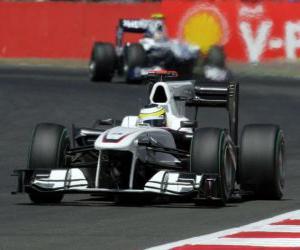 puzzel Pedro de la Rosa - Sauber - Silverstone 2010