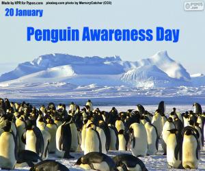 puzzel Penguin Awareness Day