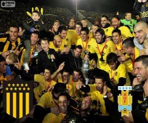 puzzel Peñarol van Montevideo, Kampioen First Division van het voetbal 2012-2013, Uruguay