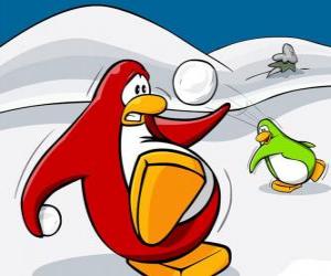 puzzel Pinguïns vechten een oorlog van sneeuw op de Club Penguin