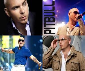 puzzel Pitbull (Armando Christian Perez), is een muziekproducent van Cubaanse afkomst