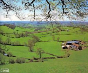 puzzel Platteland Devon, Groot-Brittannië