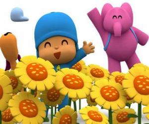 puzzel Pocoyo en zijn vrienden in een veld met zonnebloemen