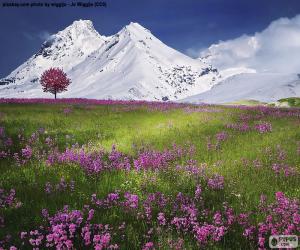 puzzel Prachtige landschap van de Alpen