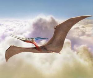 puzzel Pterodactylus vliegen