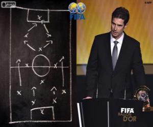 puzzel Ralf Kellermann, FIFA 2014