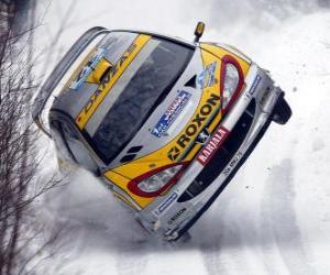 puzzel Rally auto op de sneeuw