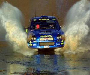 puzzel Rallying WRC - plassen