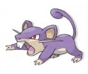 puzzel Rattata - Pokemon normale type, snelle aanvallende rat