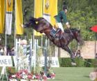 Paardensport - Paard en ruiter in de jumping oefening