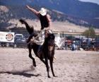 Rodeo - Rider in het zadel bronc concurrentie, rijdend op een wild paard