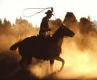 Cowboy op een paard met lasso