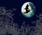 Heks vliegen op haar magische bezem op Halloween nacht