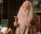 Goochelaar, tovenaar of wizard op een lange witte baard