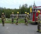 Brandweerlieden met een ladder