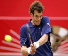 Andy Murray klaar voor een coup