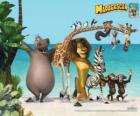 Gloria het Nijlpaard, Melman de Giraffe, Alex de leeuw, Marty de zebra met de andere hoofdrolspelers van de avonturen