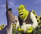 Shrek, de ogre, samen met zijn vriend Donkey