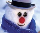Sneeuwpop gezicht