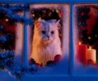 Kat kijkt uit het raam naar Kerstmis