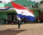 Vlag van Paraguay