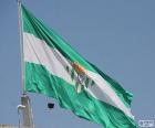 Real Betis vlag is groen en wit