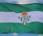 Vlag Real Betis