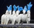 Paarden die in een circus