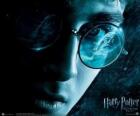 Harry Potter en de Halfbloed Prins