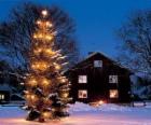 Huis met een grote versierde kerstboom in de tuin