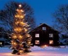 Huis met een grote versierde kerstboom in de tuin