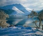 Een meer met de besneeuwde landschap