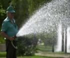 Gardener tending planten, water geven