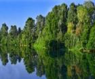 Een rivier met de weerspiegeling van bomen in het water