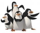 De pinguïns, Skipper, Kowalski, Rico en Private.