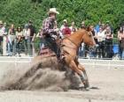 Reining - Western rijden - Ride Cowboy