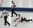 Curling is een precisie die vergelijkbaar zijn met de sport petanque of jeu de boules Engels, uitgevoerd in een ijsbaan.