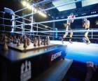 Chess Boxing is een hybride sport die combineert met boksen schaken in wisselende rondes.