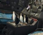 Penguins gerepareerd een oud neergestort vliegtuig