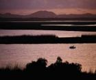 ISimangaliso Wetland Park, Zuid-Afrika