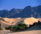 Natuurreservaten van de Air en Tenere, Niger