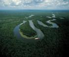 Rio Amazonas, in het complexe instandhouding van Midden-Amazone, Brazilië