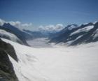 Zwitserse Alpen Jungfrau-Aletsch, Zwitserland.