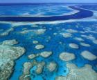 Het Great Barrier Reef, koraalriffen over de hele wereld grootste. Australië.