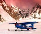 Cessna 185 in de sneeuw