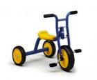 Kinderen driewieler of trike