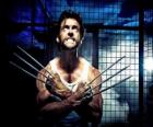 Wolverine is een mutant superheld en een van de X-Men mier de New Avengers