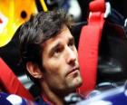 Mark Webber - Red Bull - Shanghai 2010